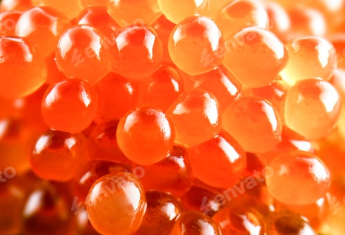 Preview: Red caviar background or texture