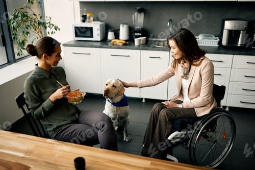 Preview: Assistance dog with businesswoman in wheelchair and her colleague during lunch break in the office.
