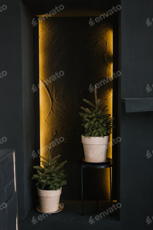 Preview: Christmas tree in white clay pots stands in the interior of a house or apartment