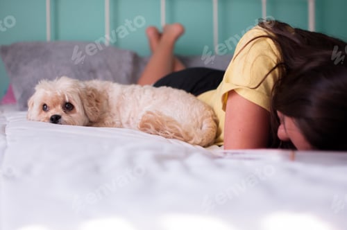 Preview: Wondering pup //