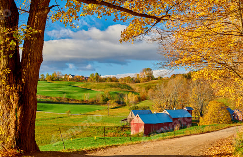 Preview: Jenne Farm with barn at sunny autumn morning