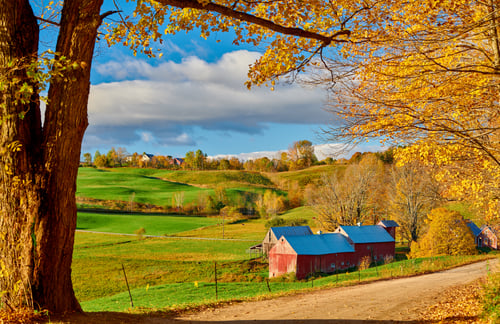 Jenne Farm with barn at sunny autumn morning Jenne Farm with barn at sunny autumn morning