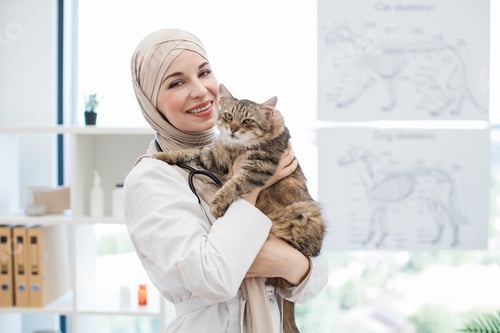 Preview: Arabian lady with cat in hands standing at pet care facility