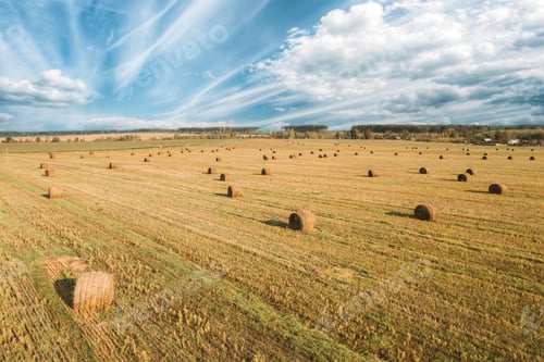 Preview: Aerial View Of Summer Hay Rolls Straw Field Landscape. Haystack, Hay Roll In Summer Sunny Day