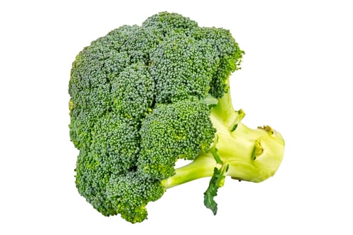Preview: Fresh Green Broccoli Against a White Background