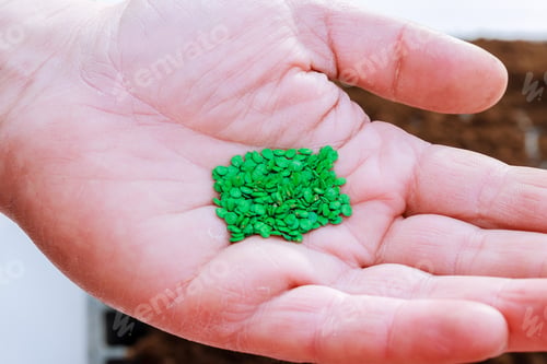 Preview: Gardener's hand seeding pepper seeds in the ground.
