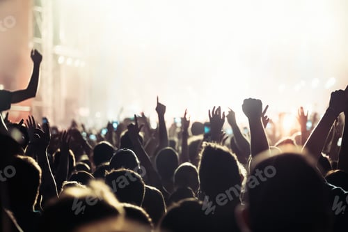 Preview: Picture of dancing crowd at music festival