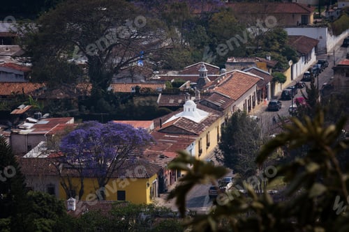 Preview: Charming streets of Antigua Guatemala lined with colorful buildings and jacaranda trees