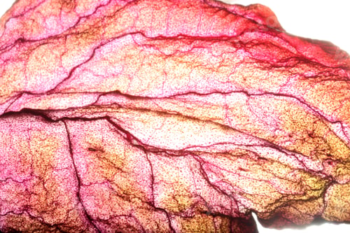 Preview: Dry Leaf Texture Abstract Background