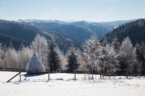 Preview: Scenic winter landscape with snowy fir trees. Winter postcard.