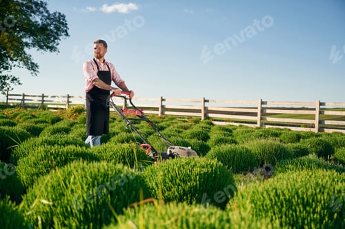 Preview: Cleaning the field by using lawn mower. Adult farmer is outdoors