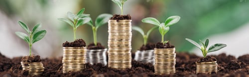 Preview: panoramic shot of golden coins with green leaves and soil, financial growth concept