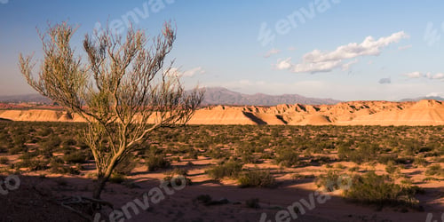 Preview: Rocky landscape, Talampaya National Park, La Rioja Province, North Argentina, South America