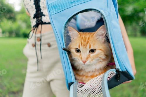 Preview: close up in the summer in the park on a green lawn, a young beautiful blonde stands with a blue