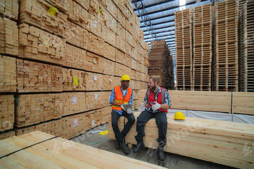 Preview: Industrial factory employee working in wooden manufacturing industry