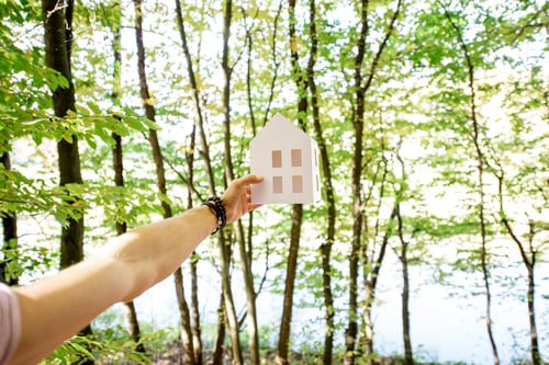 Preview: House model on the forest background