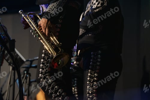 Preview: MEXICAN MUSICIAN MARIACHI WITH TRADITIONAL TRUMPET IN MEXICAN SERENATA