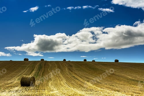 Preview: Straw bales after harvest. Limagne plain, Puy-de-Dome department, Auvergne-Rhone-Alpes, France