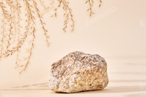 Preview: Stone podium and dry plant on beige background
