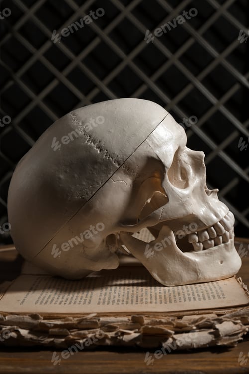 Preview: Human skull and old book on wooden table
