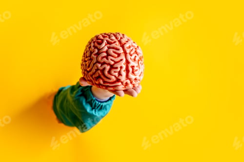 Preview: female hand hold human brain on yellow background.