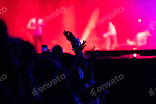 Preview: crowd partying stage lights live concert summer music festival