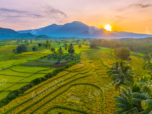 Preview: beautiful morning view indonesia panorama landscape