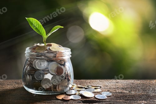 Preview: Coins Sprouting a New Plant on Wood Table
