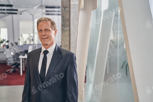 Preview: Cheerful mature man looking straight at camera