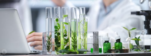 Preview: medicine chemical research with organic nature herbal plant in science laboratory, cosmetic extract