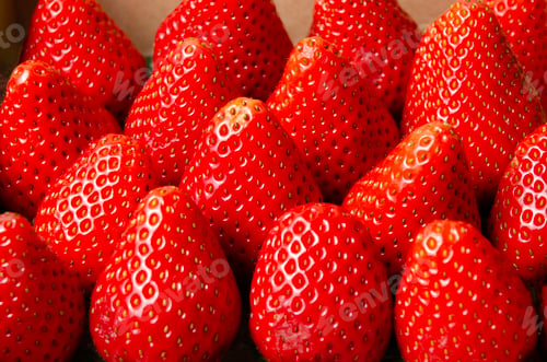 Preview: Background of red ripe strawberries selective focus.