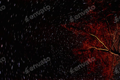 Preview: The sky at night
