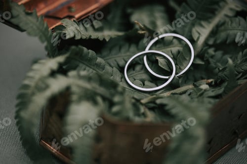 Preview: rustic