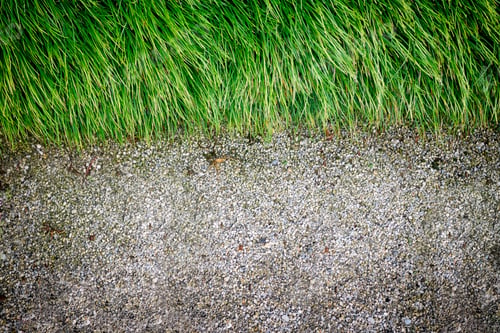 Preview: Grass