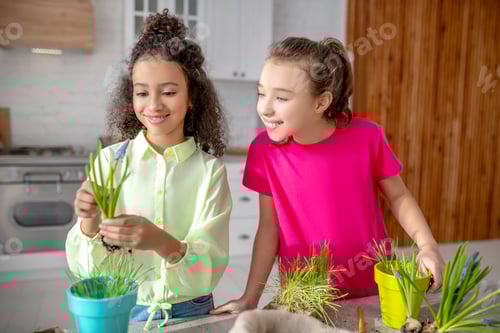 Preview: Smiling Girls Planting Flowers Together Indoors