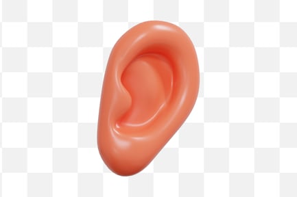 Preview: Ear Anatomy 3D Icon