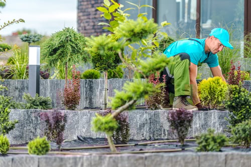Preview: Professional Landscaper Maintaining Plants in Flowerbed