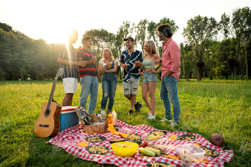 Preview: Group of multiethnic teenagers spending time outdoor on a picnic at the park