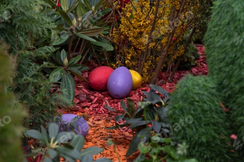 Preview: Multi colored Easter eggs on the ground