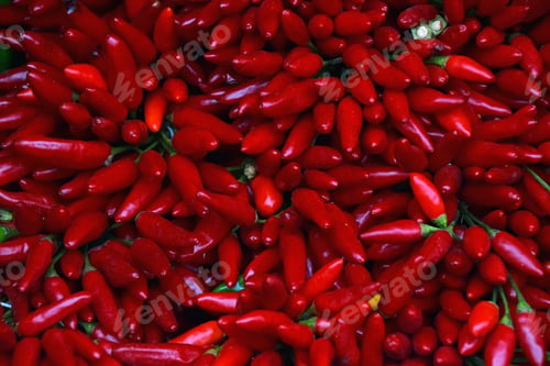 Preview: Red hot chili peppers bunches close up