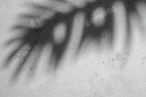 Preview: Shadow of a Fern Leaf Cast on a Textured White Wall During Daylight