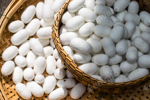 Preview: white silk cocoon, silky, fiber