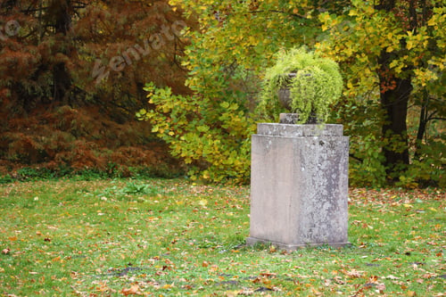 Preview: Beautiful Nature Autumn landscape. Scenery view on autumn city park