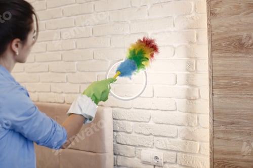 Preview: Woman with sponge and rubber gloves cleaning house