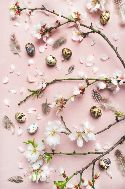 Preview: Easter background with eggs, almond flowers and feathers, vertical composition