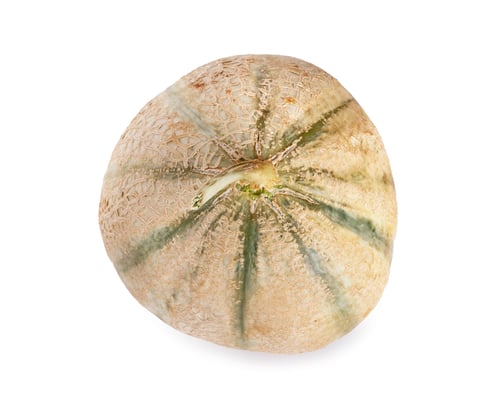 Preview: melon in studio