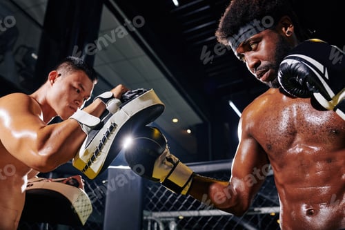 Preview: Boxer punching focus mitts