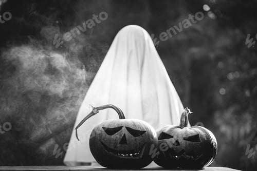 Preview: Halloween pumpkin and ghost in a spooky night