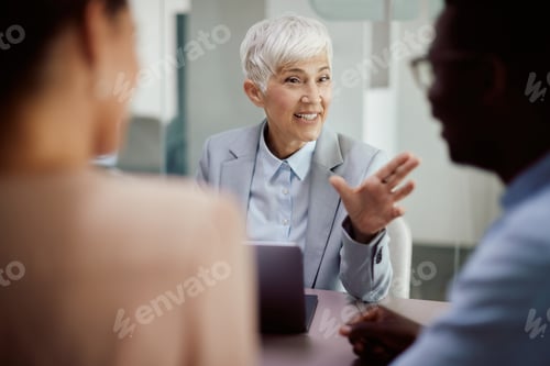 Preview: Happy mature insurance agent having meeting with her clients in the office.