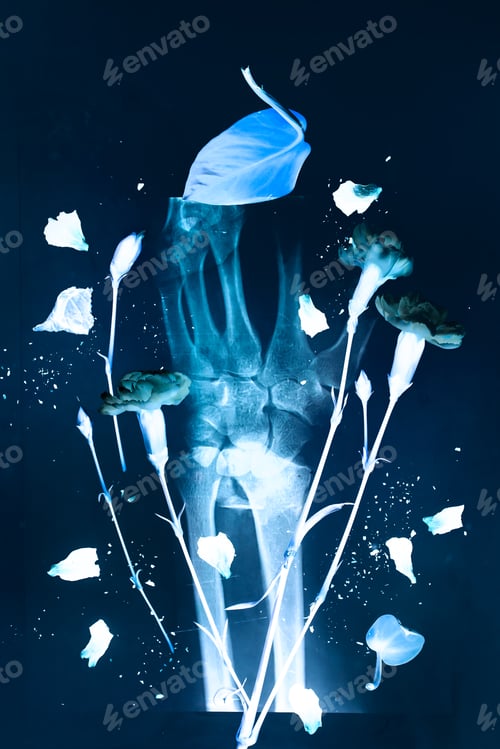 Preview: Creative x-ray concept with flowers and hand bones, human soul flat lay